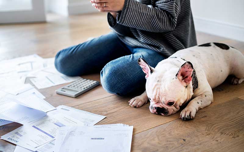 A woman sits on the floor with a dog, surrounded by scattered paperwork